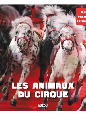 Du Cirque