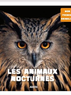 Les animaux nocturnes