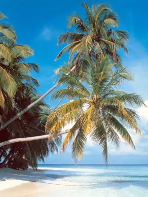 Maldives Island 2000pcs puzzle