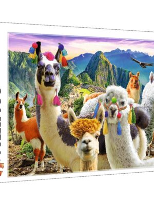 500-Llamas in the mountains
