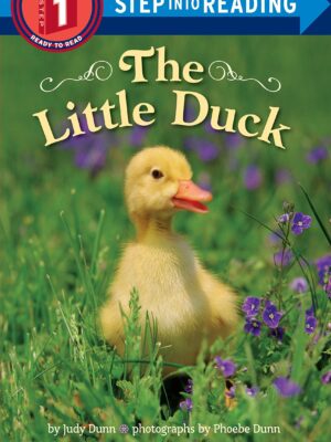 The Little Duck