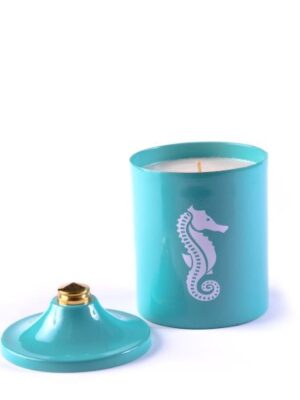 Seafoam Blue Seahorse Pyramid