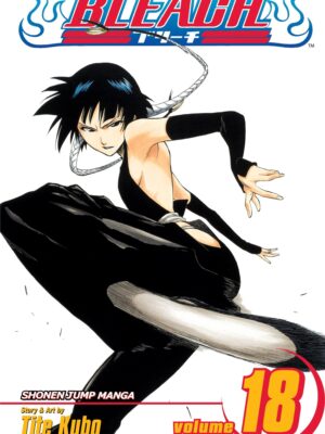 Bleach 18