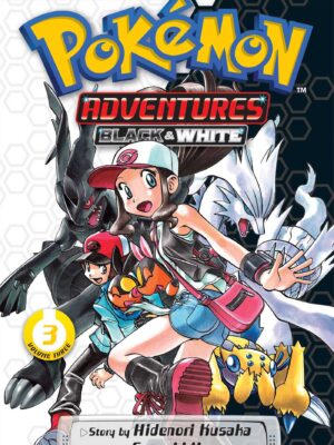 Pokemon Adventure Black and Wh