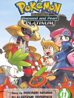 Pokemon Adventure 11