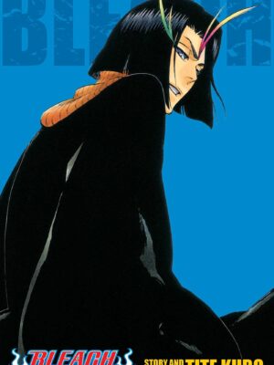 Bleach 13