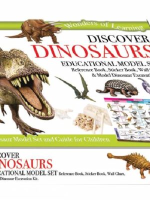 Wonders Of Learning Model Sets
