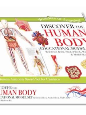 The Human Body