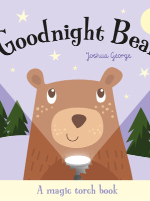 Goodnight Bear
