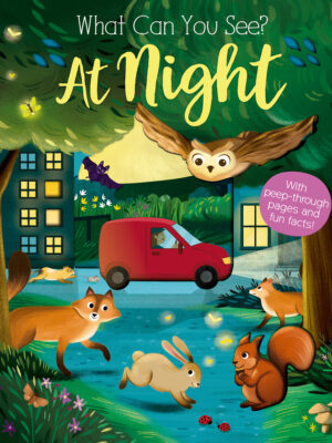 What Can You See At Night?