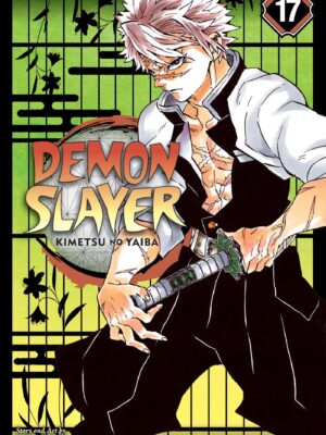 Demon Slayer 17