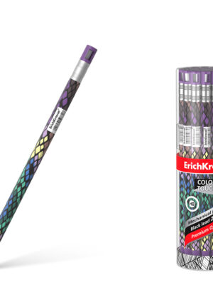 Box of 24 Mechanical pencil Co
