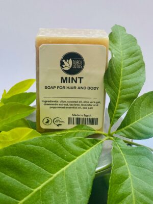 Soap for Hair-Body Tea tree & Mint