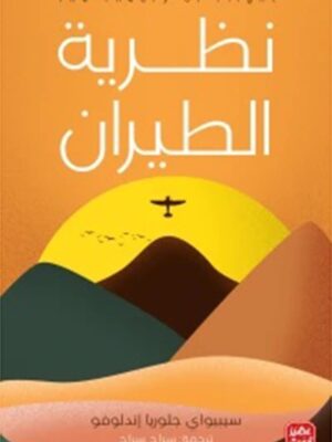 نظرية الطيران