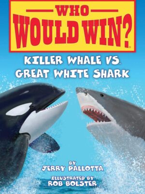 Killer Whale vs. Great White S