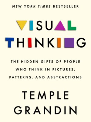 Visual Thinking