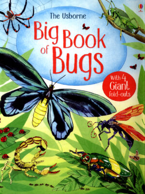 Big Book of Bugs