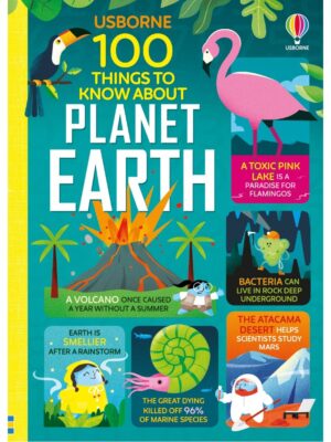100 Things to Know About Plane