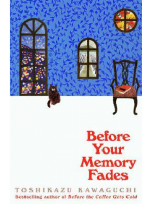Before Your Memory Fades