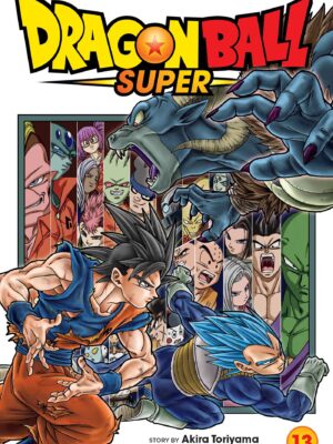 Dragon Ball Super Vol 13