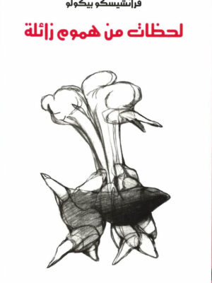 لحظات من هموم زائلة
