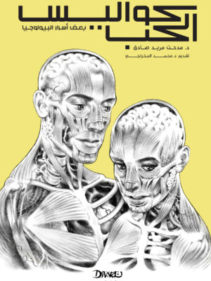 كواليس الحب
