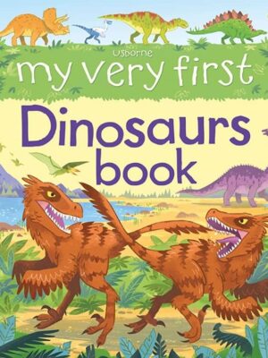 My Very First Dinosaurs Book