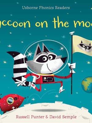 Raccoon On The Moon
