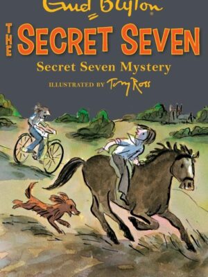 Secret Seven Mystery