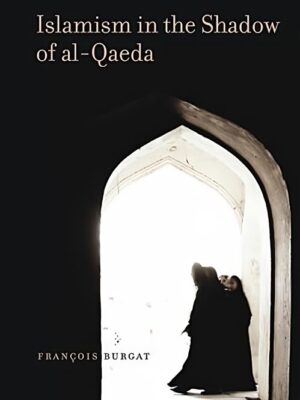 Islamism in the Shadow of al-Q
