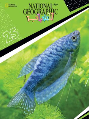 ناشيونال جيوجرافيك للشباب 25