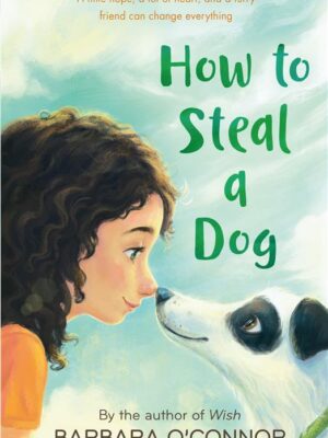 How to Steal a Dog