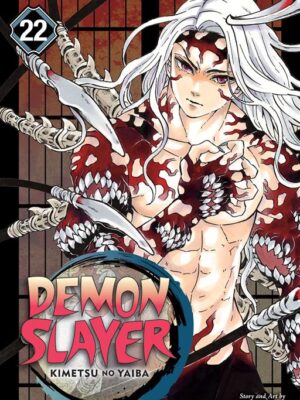 Demon Slayer Vol 22