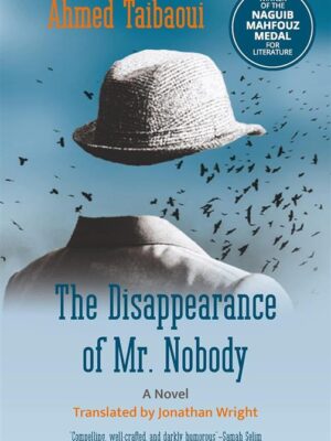 The Disappearance of Mr Nobody