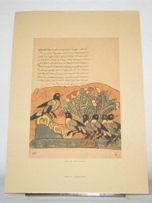 Poster S