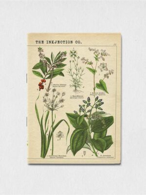 A5 Blank antique plant art 2