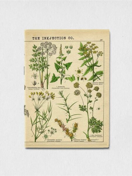 A5 Lined antique plant art 3