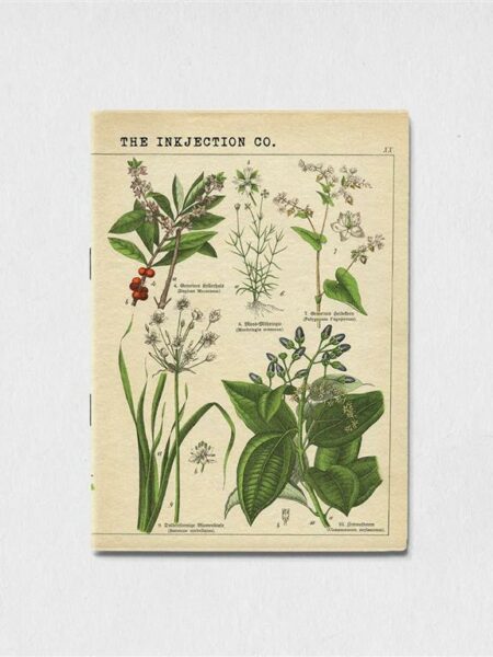 A6 Blank antique plant art 2