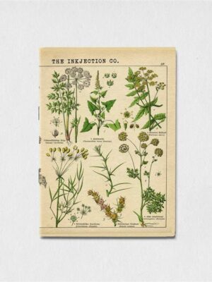 A6 Lined antique plant art 3