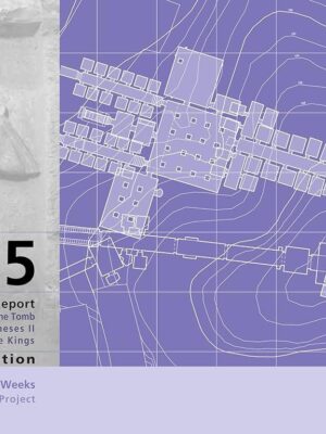 KV5: A Preliminary Report on the Excavation of the Tomb of t