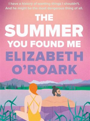 The summer 3: The Summer You Found Me