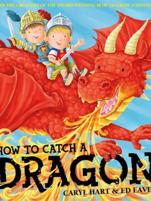 How To Catch A Dragon