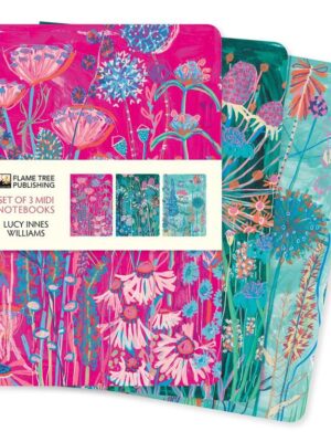 Lucy Innes Williams Set of 3 Midi Notebooks