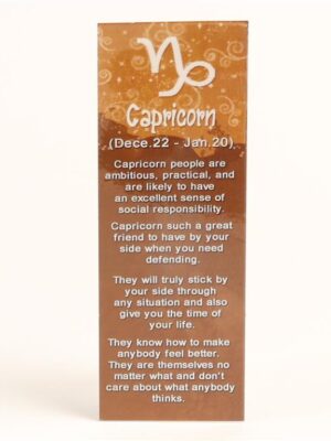 I&Y Capricorn Bookmark 20 Dec 20 Jan