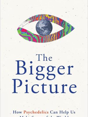The Bigger Picture: How Psychedelics Can Help Us Make Sense