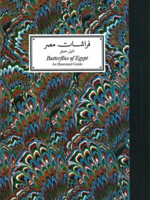فراشات مصر: دليل مصور