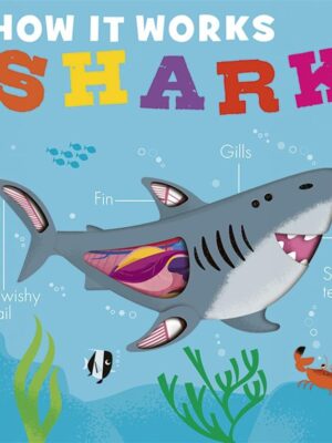 How it works: Shark