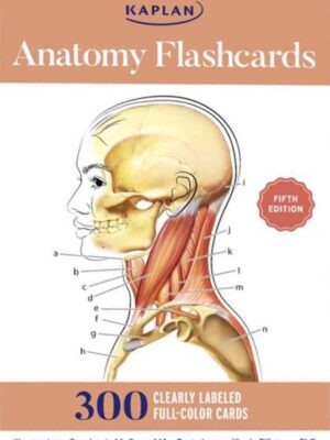 Anatomy Flashcards