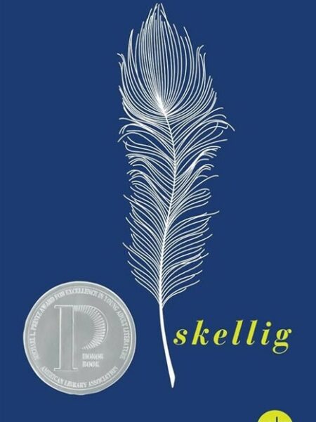 Skellig 1: Skellig