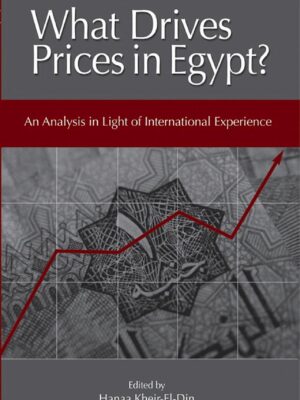 What Drives prices in Egypt?